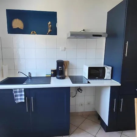 Le Refuge Bleu Et Or Lägenhet Lourdes