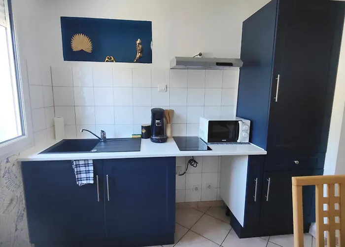 Le Refuge Bleu Et Or Appartement Lourdes