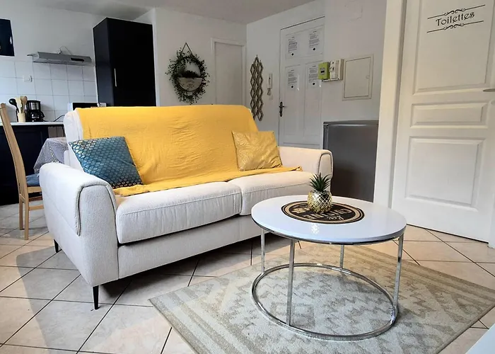 Le Refuge Bleu Et Or Лурд